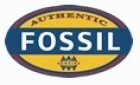 Fossil (ʯ) ̳